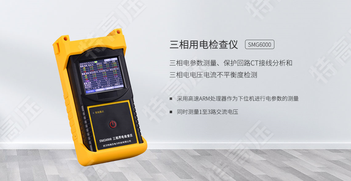 SMG6000 三相用電檢查儀(圖1)