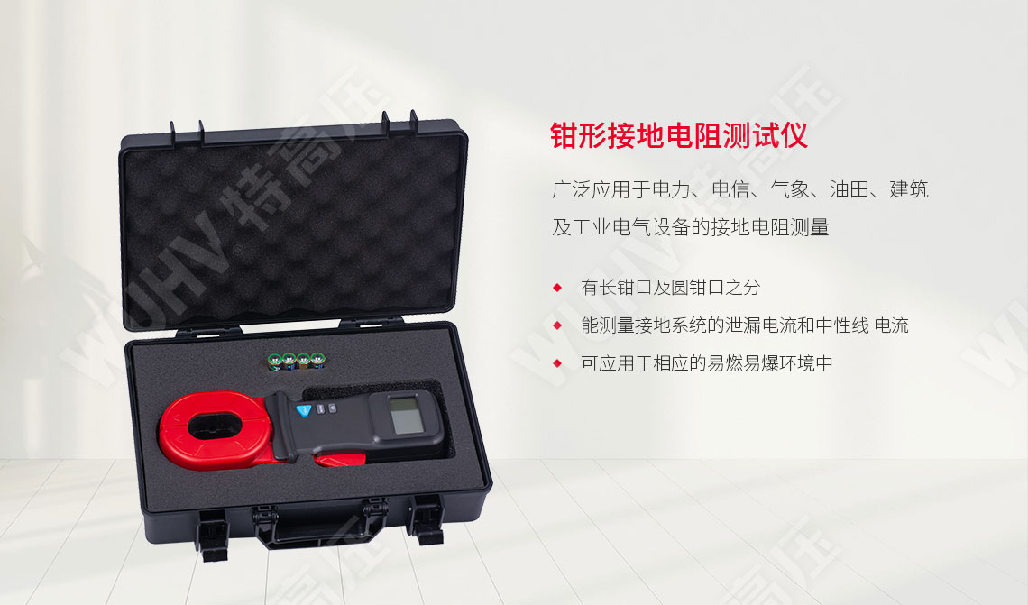 ETCR2000 鉗形接地電阻測(cè)試儀(圖1) 鉗形接地電阻測(cè)量?jī)x