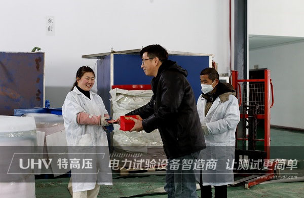 開業大吉！特高壓電力開啟全新征程(圖2)