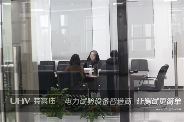 喜迎貴客臨門，浙江客戶來訪特高壓電力！(圖1)